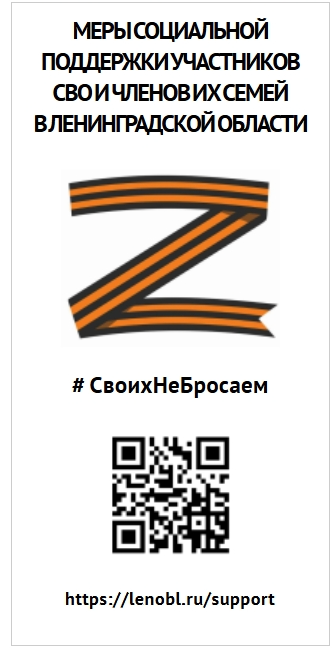  Меры поддержки участников СВО и членов их семей