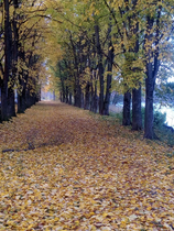 Павлово