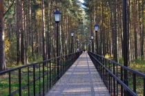 Отрадное