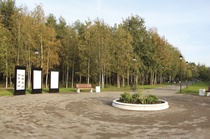 Отрадное
