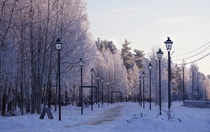 Отрадное
