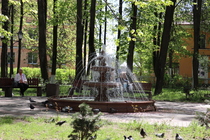 Мга